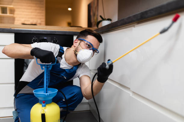 Best Wasp Removal Services  in South River, NJ