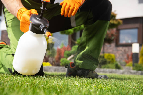 Best Residential Pest Control  in South River, NJ