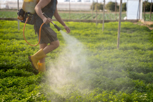 Best Best Pest Control Companies  in South River, NJ