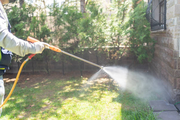 Best Pest Prevention Services  in South River, NJ
