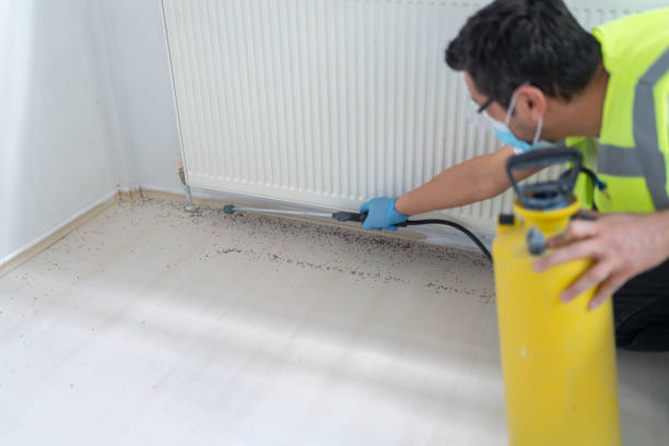 Professional Pest Control in South River, NJ