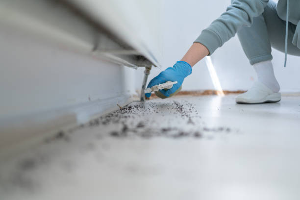 Best Pest Control Treatment  in South River, NJ